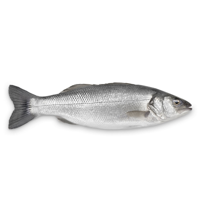 BAR (CÁ VƯỢC) 1KG