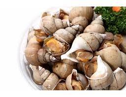 BULOT CUITE (ỐC CHÍN) 3KG