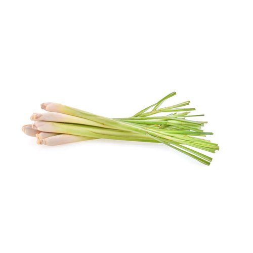CITRONELLE 100G