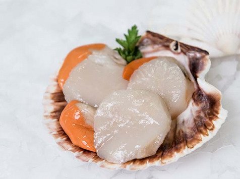 COQUILLE SAINT JACQUES (SÒ ĐIỆP) 1KG