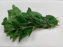 MENTHE 1BOTTE FR