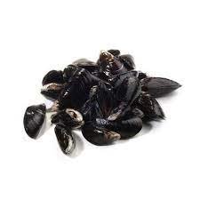 MOULE 2KG