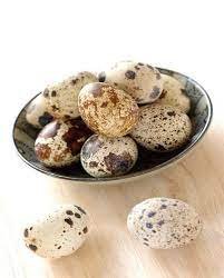 OEUF DE CAILLE 18P