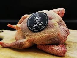 PIGEON (CHIM BỒ CÂU) 500G /PIECES COLIS 10P