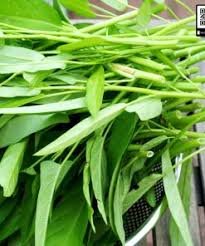 LISERON D'EAU AVEC FEUILLE (RAU MUỐNG THÁI) 250GR