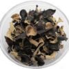 CHAMPIGNON NOIR VRAC (MỘC NHĨ) 80G VN