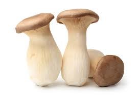 CHAMPIGNON ERENGII (NẤM ĐÙI GÀ) 1KG