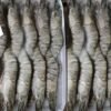 GAMBAS ENTIER CONGELE (TÔM ĐÔNG LẠNH)  SIZE 20/30 2KG
