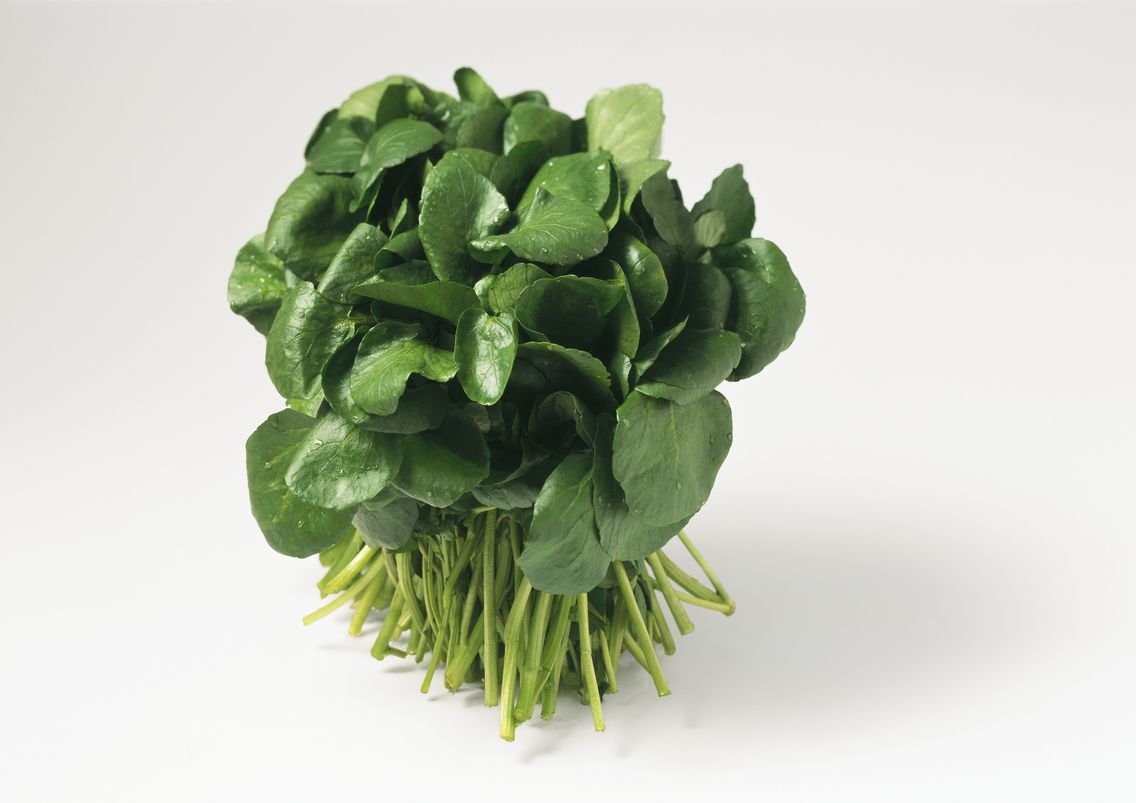 CRESSON (CẢI XONG) 1 PIECE