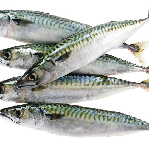 MARAUEREAU SIZE 300/500G (CA NUC)  1KG