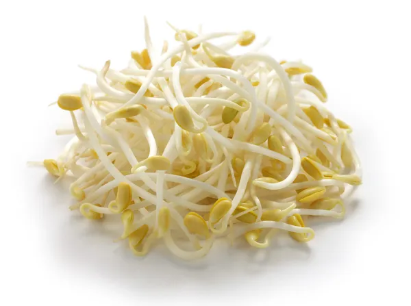 SOJA(GIÁ ĐỖ) 4KG